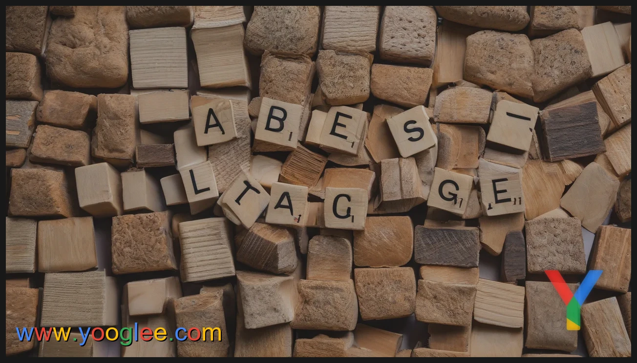 Top 5 Easiest Languages for English Speakers to Learn According to Reddit